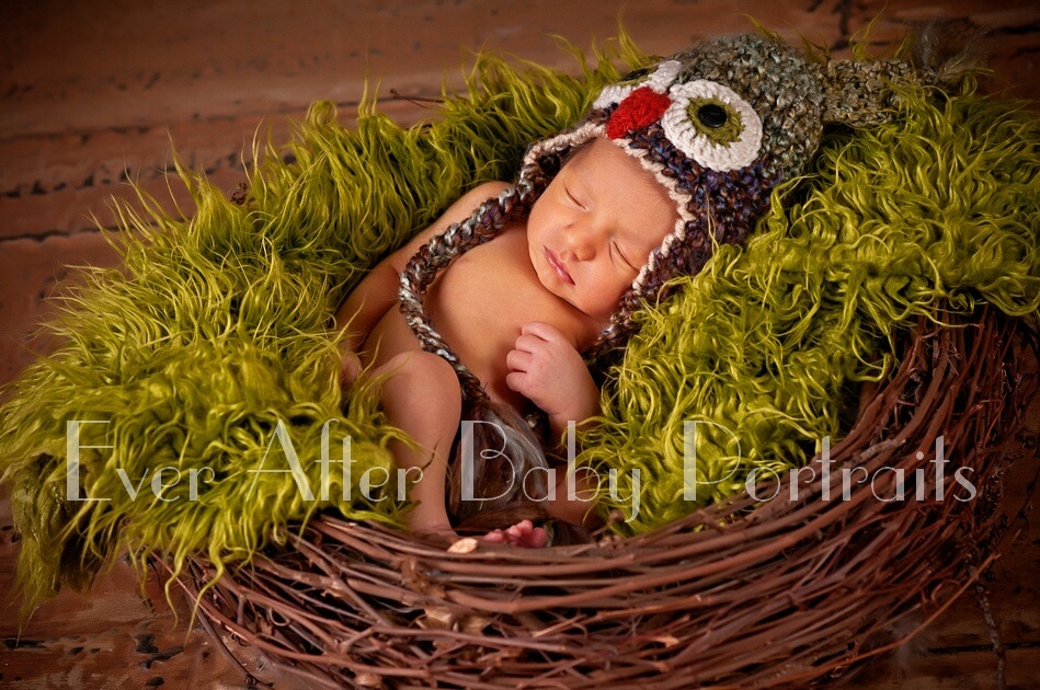 baby photography sterling va