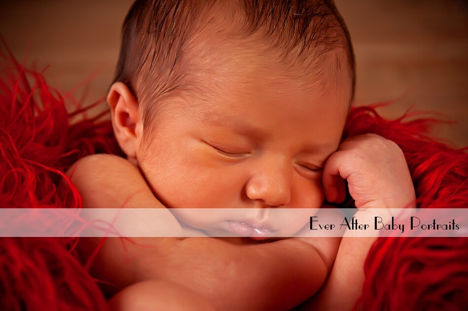 Aidan’s portrait gallery | Northern VA Newborn Photographer