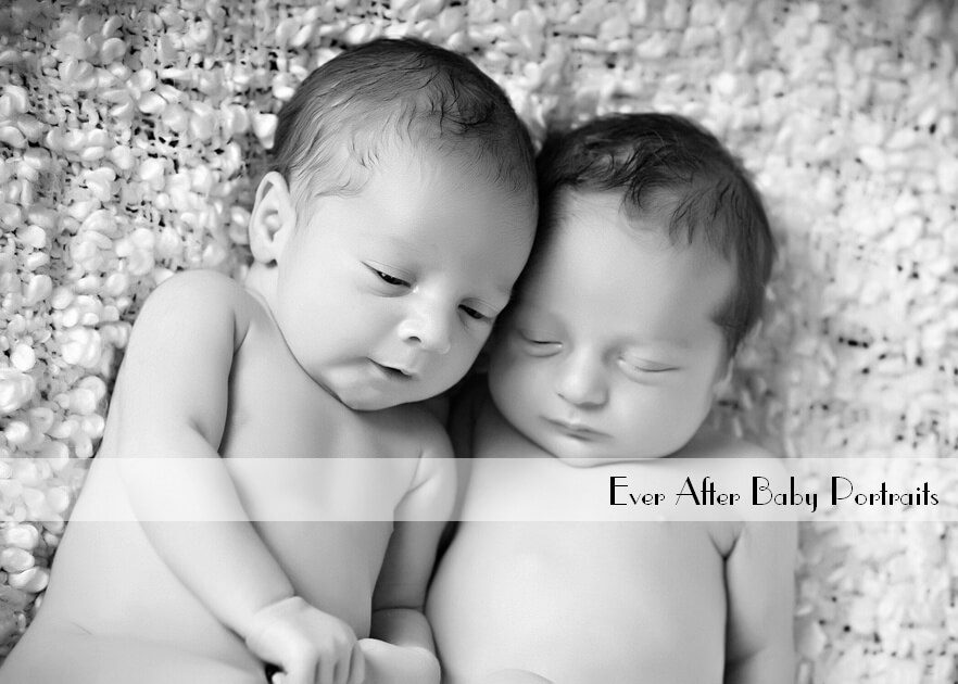 newborn photographer purcellville va